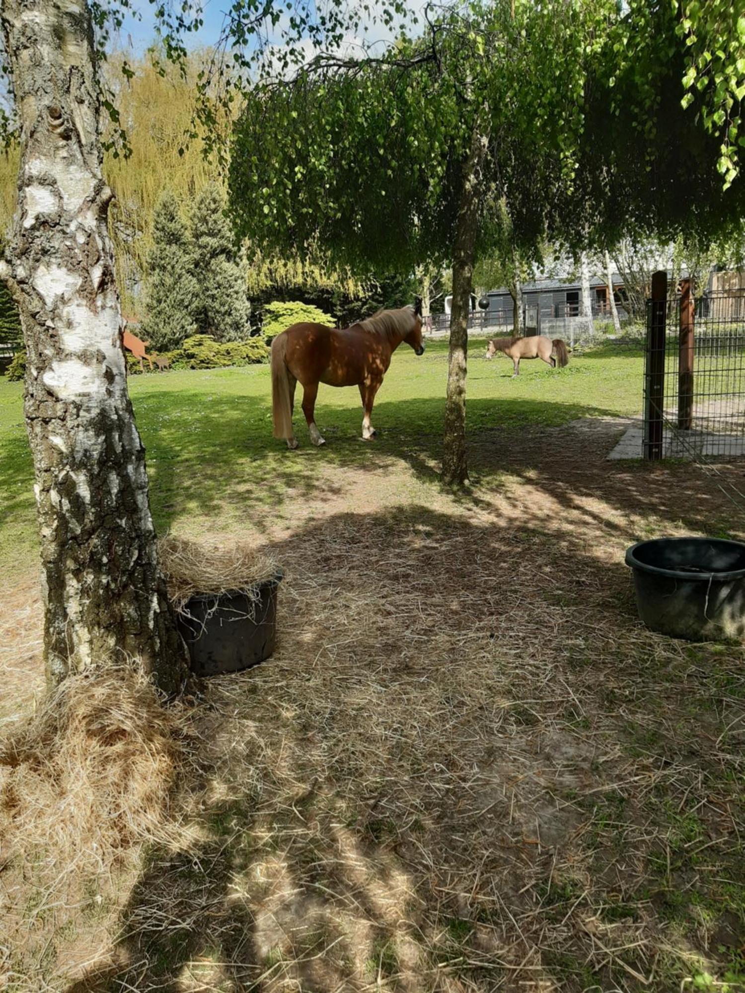 B&B de Vrijheid en de Ruimte in Steenbergen Steenbergen  Zimmer foto